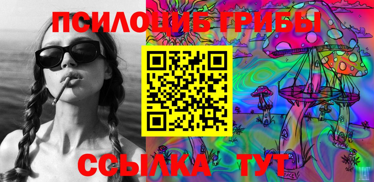 Галлюциногенные грибы Cubensis  Галлюциногенные грибы Cubensis  Михайловка  Вход с VPN 