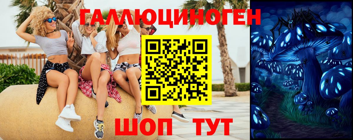 Псилоцибиновые грибы Psilocybine cubensis Михайловка